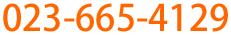 023-665-4129