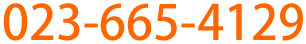 023-665-4129